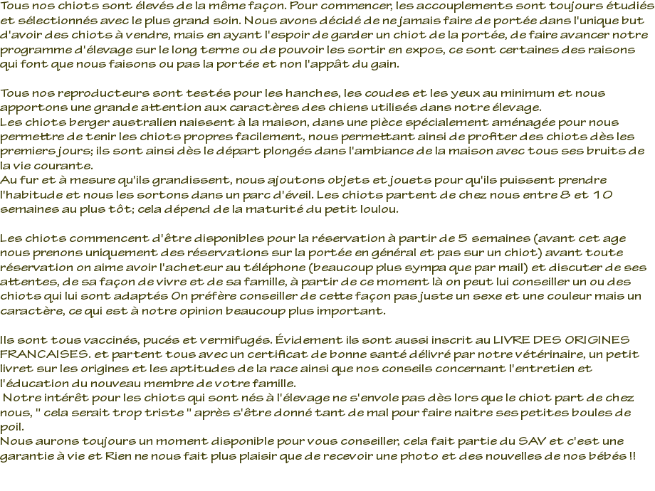 Tous nos chiots sont élevés de la même façon. Pour commencer, les accouplements sont toujours étudiés et sélectionnés avec le plus grand soin. Nous avons décidé de ne jamais faire de portée dans l'unique but d'avoir des chiots à vendre, mais en ayant l'espoir de garder un chiot de la portée, de faire avancer notre programme d'élevage sur le long terme ou de pouvoir les sortir en expos, ce sont certaines des raisons qui font que nous faisons ou pas la portée et non l'appât du gain. Tous nos reproducteurs sont testés pour les hanches, les coudes et les yeux au minimum et nous apportons une grande attention aux caractères des chiens utilisés dans notre élevage. Les chiots berger australien naissent à la maison, dans une pièce spécialement aménagée pour nous permettre de tenir les chiots propres facilement, nous permettant ainsi de profiter des chiots dès les premiers jours; ils sont ainsi dès le départ plongés dans l'ambiance de la maison avec tous ses bruits de la vie courante. Au fur et à mesure qu'ils grandissent, nous ajoutons objets et jouets pour qu'ils puissent prendre l'habitude et nous les sortons dans un parc d'éveil. Les chiots partent de chez nous entre 8 et 10 semaines au plus tôt; cela dépend de la maturité du petit loulou. Les chiots commencent d'être disponibles pour la réservation à partir de 5 semaines (avant cet age nous prenons uniquement des réservations sur la portée en général et pas sur un chiot) avant toute réservation on aime avoir l'acheteur au téléphone (beaucoup plus sympa que par mail) et discuter de ses attentes, de sa façon de vivre et de sa famille, à partir de ce moment là on peut lui conseiller un ou des chiots qui lui sont adaptés On préfère conseiller de cette façon pas juste un sexe et une couleur mais un caractère, ce qui est à notre opinion beaucoup plus important. Ils sont tous vaccinés, pucés et vermifugés. Évidement ils sont aussi inscrit au LIVRE DES ORIGINES FRANCAISES. et partent tous avec un certificat de bonne santé délivré par notre vétérinaire, un petit livret sur les origines et les aptitudes de la race ainsi que nos conseils concernant l'entretien et l'éducation du nouveau membre de votre famille. Notre intérêt pour les chiots qui sont nés à l'élevage ne s'envole pas dès lors que le chiot part de chez nous, " cela serait trop triste " après s'être donné tant de mal pour faire naitre ses petites boules de poil. Nous aurons toujours un moment disponible pour vous conseiller, cela fait partie du SAV et c'est une garantie à vie et Rien ne nous fait plus plaisir que de recevoir une photo et des nouvelles de nos bébés !! 