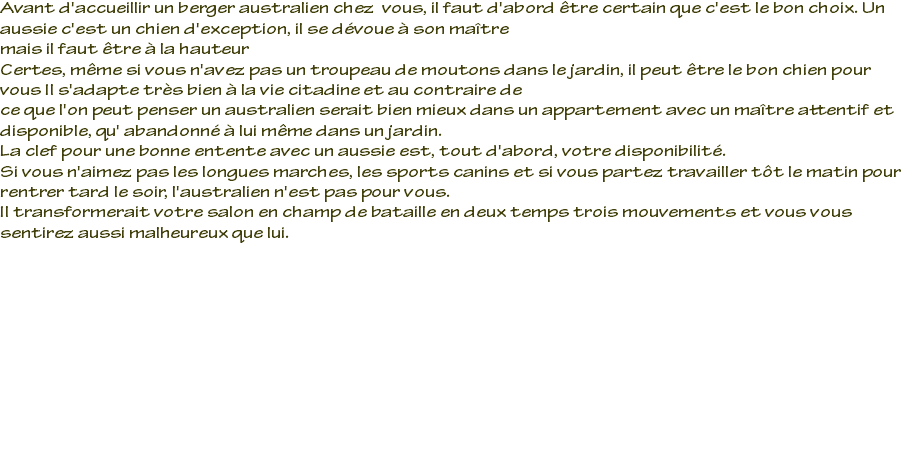 Avant d'accueillir un berger australien chez vous, il faut d'abord être certain que c'est le bon choix. Un aussie c'est un chien d'exception, il se dévoue à son maître mais il faut être à la hauteur Certes, même si vous n'avez pas un troupeau de moutons dans le jardin, il peut être le bon chien pour vous Il s'adapte très bien à la vie citadine et au contraire de ce que l'on peut penser un australien serait bien mieux dans un appartement avec un maître attentif et disponible, qu' abandonné à lui même dans un jardin. La clef pour une bonne entente avec un aussie est, tout d'abord, votre disponibilité. Si vous n'aimez pas les longues marches, les sports canins et si vous partez travailler tôt le matin pour rentrer tard le soir, l'australien n'est pas pour vous. Il transformerait votre salon en champ de bataille en deux temps trois mouvements et vous vous sentirez aussi malheureux que lui. 